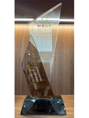 桐鄉(xiāng)市大企業(yè)培育工程獎(jiǎng)